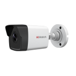 HiWatch DS-I100(B)
